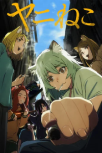 Cover Chainsmoker Cat, Chainsmoker Cat