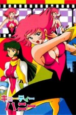 Cover Cutie Honey, Poster Cutie Honey