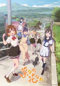 Poster, Narenare -Cheer for You!- Anime Cover