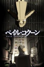 Cover Pale Cocoon, Poster, Stream