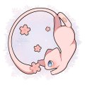 A_may_Lily Avatar, A_may_Lily Profilbild