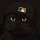 User Renard, Profilbild, Avatar