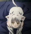 Profilbild XSwifty777, Avatar