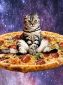 Profilbild KatzeAufPizzaImAll, Avatar