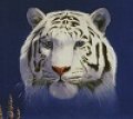 User Hyarmenion, Profilbild