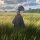 User KOU, Profilbild, Avatar
