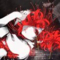 Profilbild Noriii, Avatar