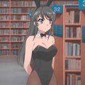 User Ammiku, Profilbild