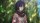 User Joeljomei44, Profilbild, Avatar