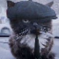 Profilbild Fischis, Avatar
