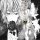 User xanity, Profilbild, Avatar