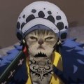 Profilbild Faruk53, Avatar