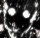 Profilbild H3hnchen, Avatar
