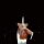 Profilbild GoldOrSilver, Avatar