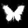 Profilbild XTheQuestion, Avatar
