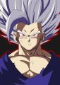 Collecter Avatar, Collecter Profilbild