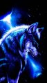 Profilbild Thewolflover, Avatar