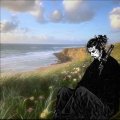 x_xshxdowx_x