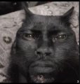 Jomeyko Avatar, Jomeyko Profilbild