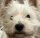 User Kaj3r, Profilbild, Avatar
