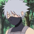 Kakashi-san, Profilbild, Foto, Avatar