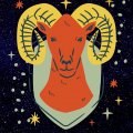 User Aries, Profilbild