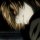 Profilbild Ayzzs, Avatar