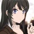 Profilbild Ziegel, Avatar