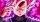 Profilbild ZoomHD, Avatar