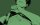 User SkuLz, Profilbild, Avatar