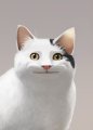Profilbild Nescafe, Avatar