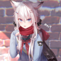 KleinerGP155
