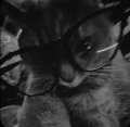 Nvhfy Avatar, Nvhfy Profilbild