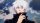Profilbild Timrussia777, Avatar