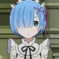 Zerpent Avatar, Zerpent Profilbild