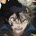 Profilbild Davenni, Avatar
