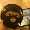 User Tenshiii, Profilbild