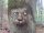 Profilbild woxelo, Avatar