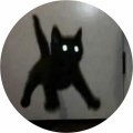 Ri7D, Profilbild, Foto, Avatar