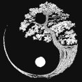 Profilbild _Shadow_44, Avatar