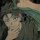 User Nico_348, Profilbild, Avatar
